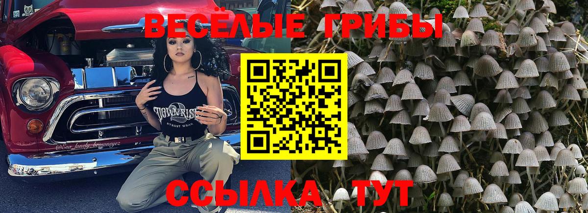 Галлюциногенные грибы прущие грибы Долгопрудный