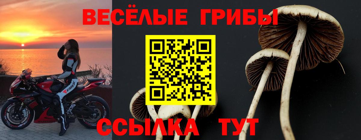 купить наркоту  Вход с VPN  Долгопрудный  Галлюциногенные грибы Psilocybine cubensis  Псилоцибиновые грибы MAGIC MUSHROOMS 